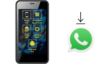 Comment installer WhatsApp dans un Wink Share