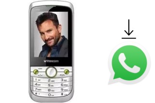 Comment installer WhatsApp dans un Wynncom W405