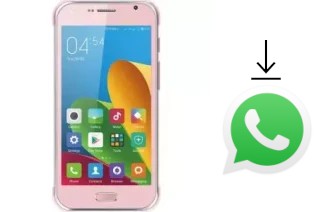 Comment installer WhatsApp dans un X-TIGI J110