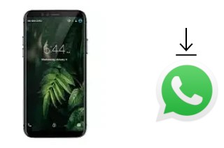 Comment installer WhatsApp dans un Xgody M78 Pro