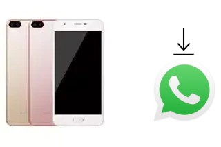 Comment installer WhatsApp dans un Xiaolajiao A1