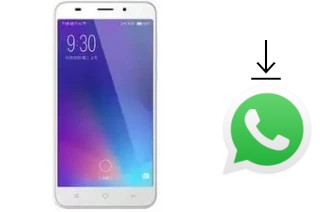 Comment installer WhatsApp dans un Xiaolajiao T8