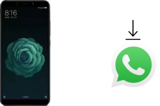 Comment installer WhatsApp dans un Xiaomi Mi 6X