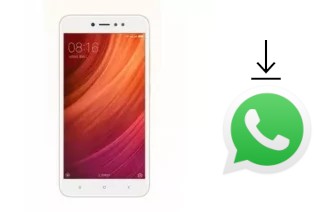 Comment installer WhatsApp dans un Xiaomi Redmi 4 High Version