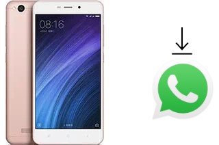 Comment installer WhatsApp dans un Xiaomi Redmi 4a