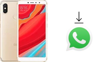 Comment installer WhatsApp dans un Xiaomi Redmi S2 (Redmi Y2)