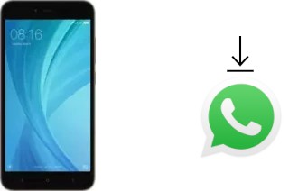 Comment installer WhatsApp dans un Xiaomi Redmi Y1