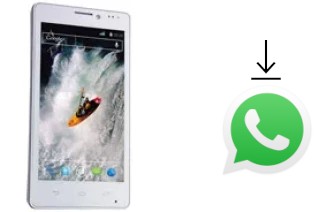 Comment installer WhatsApp dans un XOLO X910