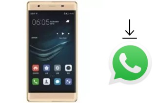 Comment installer WhatsApp dans un Xplay P9I