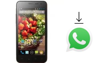 Comment installer WhatsApp dans un Yusun W808