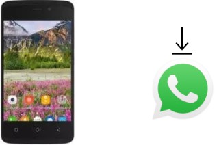 Comment installer WhatsApp dans un Zopo Color M4