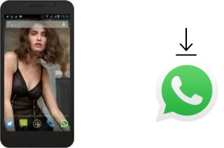 Comment installer WhatsApp dans un Zopo ZP320