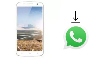 Comment installer WhatsApp dans un Zopo ZP990 Gold Edition