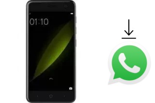 Comment installer WhatsApp dans un ZTE Blade V8C
