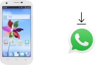 Comment installer WhatsApp dans un ZTE Q801U