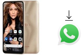 Comment installer WhatsApp dans un Zuum Aura Pro JLO