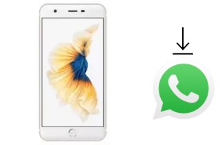 Comment installer WhatsApp dans un ZYQ Q-ME Phone 7 3G