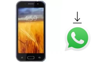 Comment installer WhatsApp dans un ZYQ Q UP C5