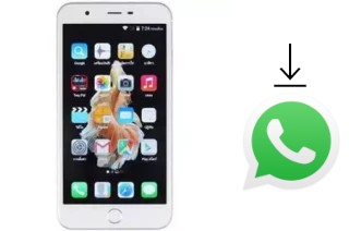 Comment installer WhatsApp dans un ZYQ Q638