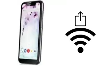 Générer un QR code avec la clé Wifi sur un Fly View